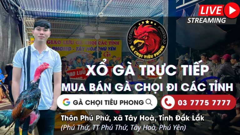 Video ngày 05/09/2025 – CLB Gà Chọi Minh Thông